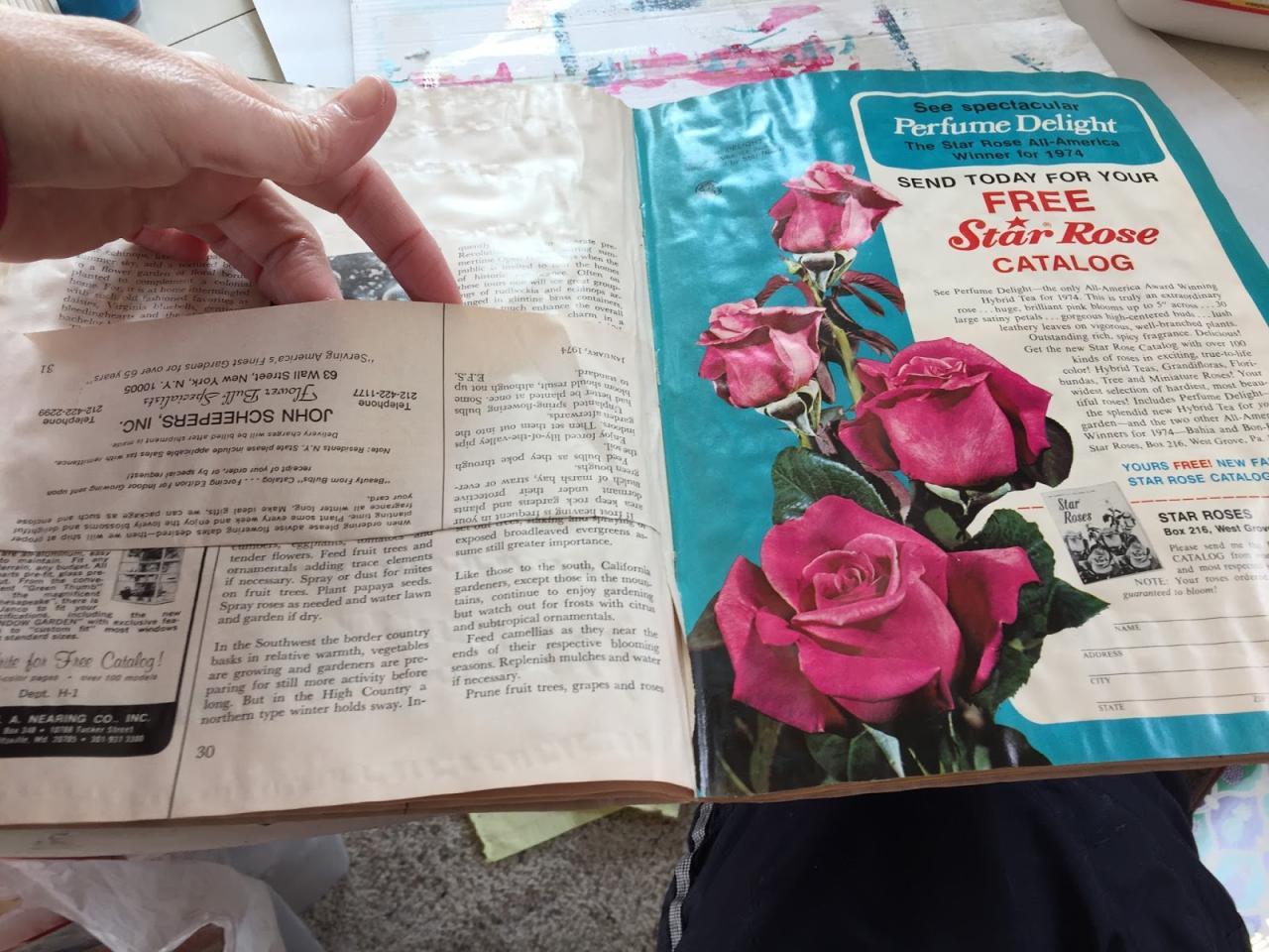 How Can Journaling Help You In Your Personal Growth - A Healthier Me How Can Journaling Help You In Your Personal Growth - A Healthier Me