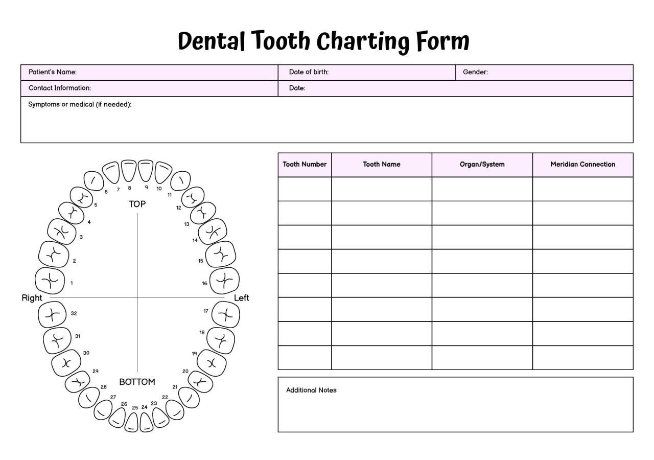 Dental Charting Practice Sheets Dental Charting Practice Sheets