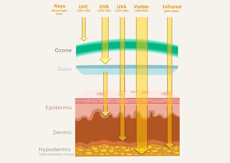 7 Health-Boosting Benefits of Morning Sunlight I 5 Tips to Get it into ...