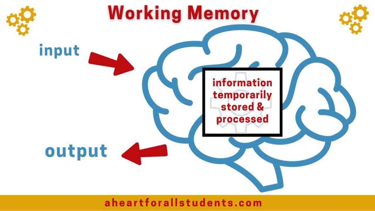 15 tricks to improve your memory | PDF 15 tricks to improve your memory | PDF